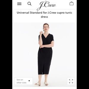 Universal Standard for J Crew Cupro Tunic